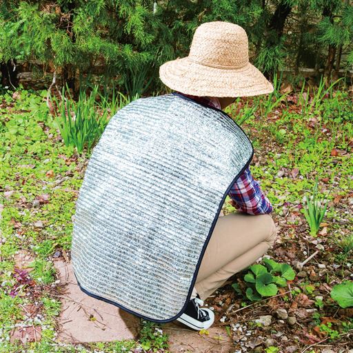 日差しはカット!