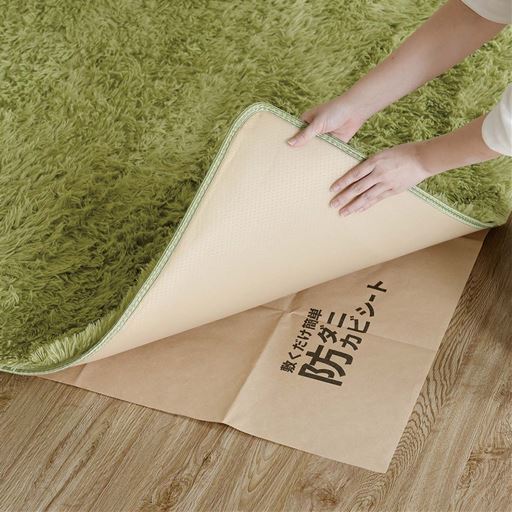 カーペットの下