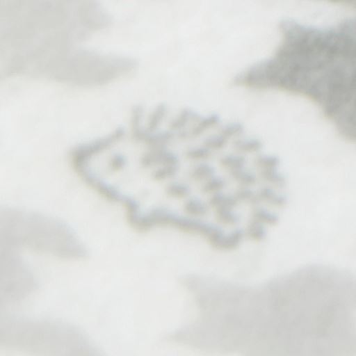 B(ハリネズミ柄)  柄アップ<br>ハリネズミが隠れているよ!