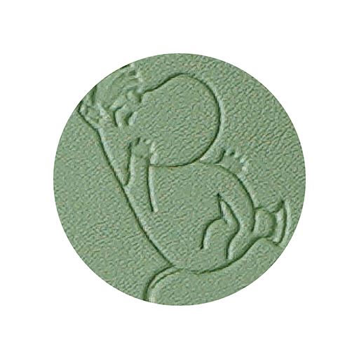 柄アップ(グリーン)