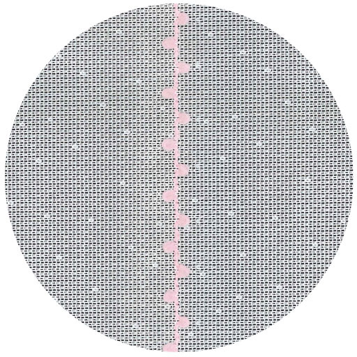 ピンク<br>生地拡大