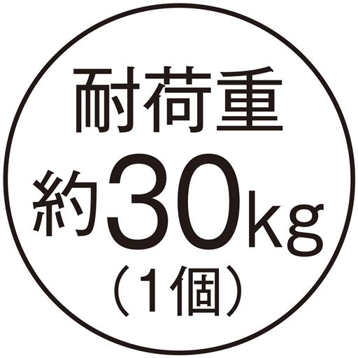 耐荷重約30kg(1個)