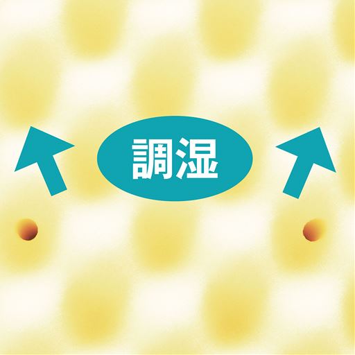 不快な湿気を吸収・放湿するのでいつもサラサラ。