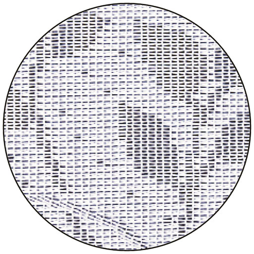 ホワイト<br>生地拡大