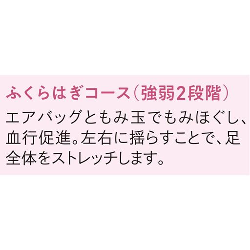 ふくらはぎコース(強弱2段階)