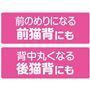 前のめりになる前猫背にも 背中丸くなる後猫背にも