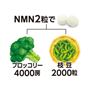 NMN2粒の目安