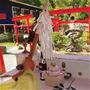 宝くじ当選にご利益があるといわれる宝来宝来神社(熊本県)で金運招来のご祈祷を賜わりました。