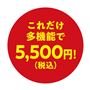これだけ多機能で5,500円!(税込)