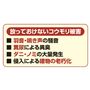 放っておけないコウモリ被害