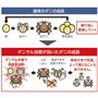 上:通常のダニの成長、下:ダニサル効果が効いたダニの成長