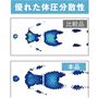 優れた体圧分散性。
