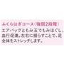 ふくらはぎコース(強弱2段階)