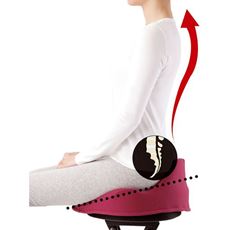 仙骨クッション 仙律