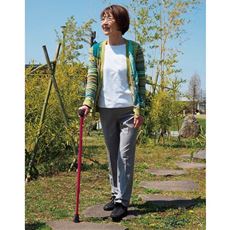 バンブーステッキ ワイド