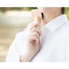 ペルチェ式 カラビナアイスファン