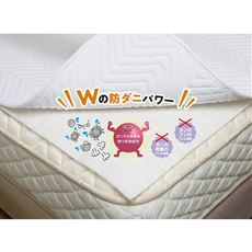 ダニサルWパワーシート