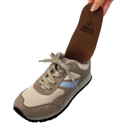 DSIS ソルボヘルシー フルインソール