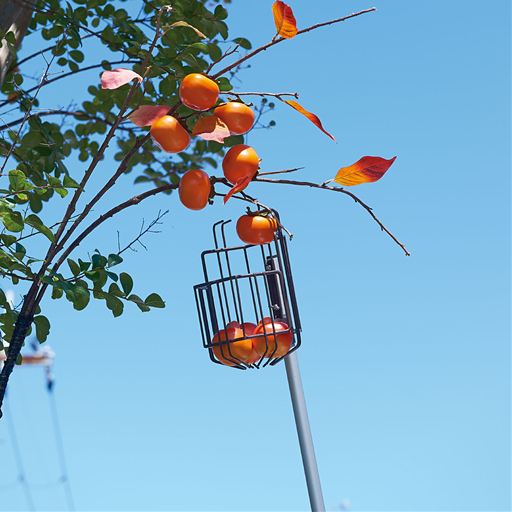 柿取りバスケット