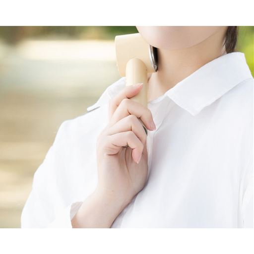 ペルチェ式 カラビナアイスファン