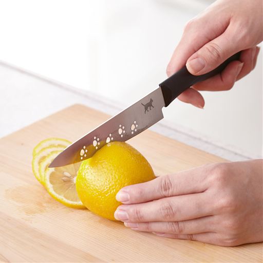 (1)ペティナイフ