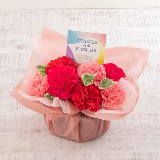 カーネーションのピンクのグラデーションにTHANK youピックがアクセント。