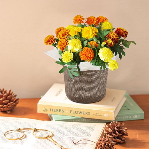 こっちまで元気がもらえそうな明るい色のお花を咲かせてくれるマリーゴールド。