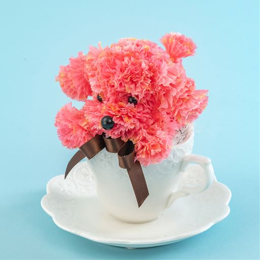 ティーカップからプードルがちょこんと顔を出してごあいさつ。