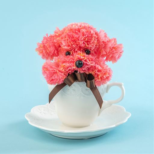 キュートな顔に思わず笑みがこぼれます。