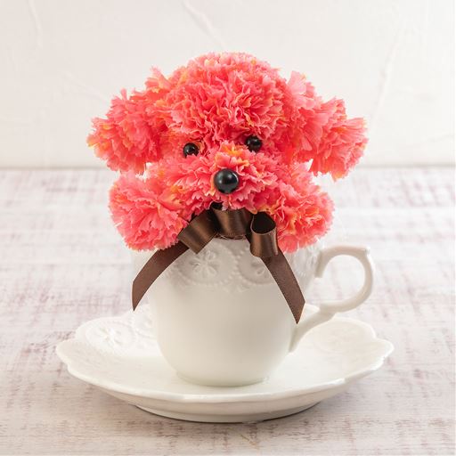 お母さんへ日頃の感謝を込めて贈ってみてはいかがでしょうか?