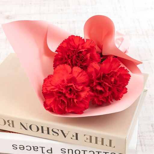 気持ちがダイレクトに伝わる赤いカーネーション。