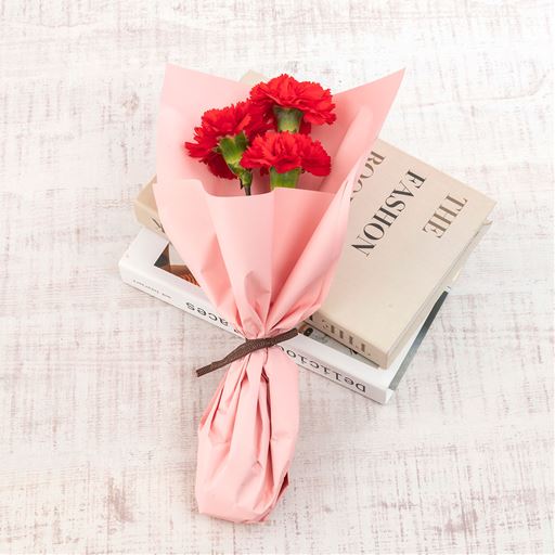 気持ちがダイレクトに伝わる赤いカーネーション。