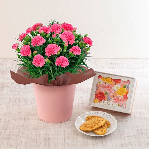 カーネーション(ピンク)&東京フラワーブーケ「リーフパイ」セット