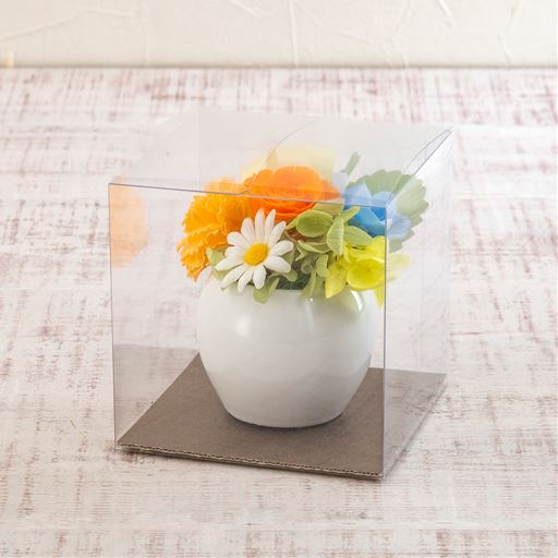 クリアケース入り。