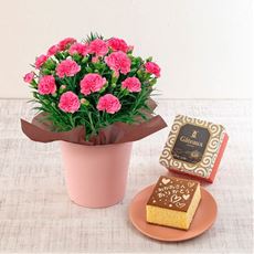 【母の日】カーネーション(ピンク)&長崎堂「絵柄入りカステーラ」セット