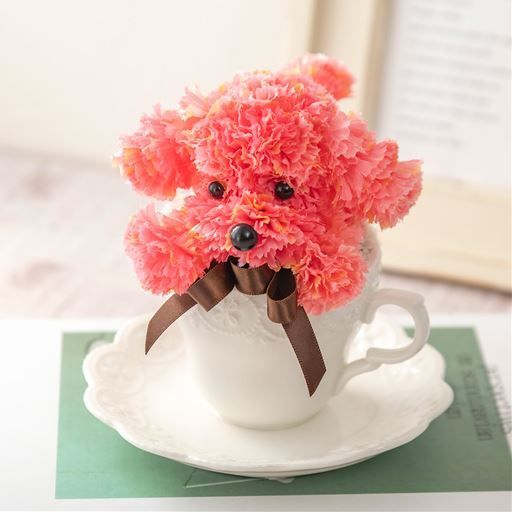 【母の日】ティーカッププードル