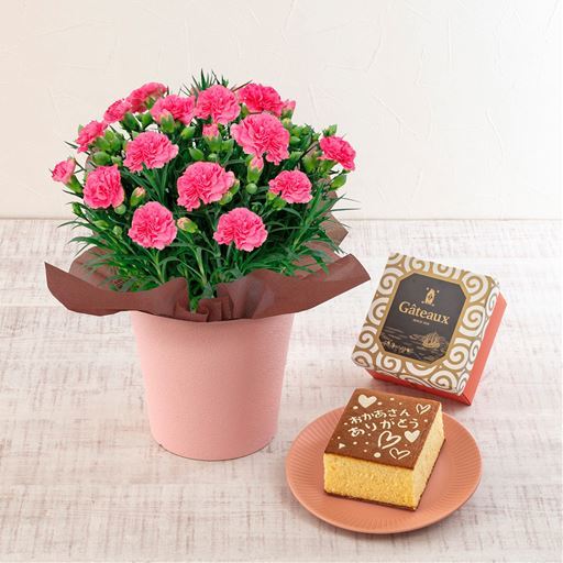【母の日】カーネーション(ピンク)&長崎堂「絵柄入りカステーラ」セット