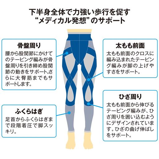 下半身全体で力強い歩行を促すメディカル発想のサポート<br>※イメージ