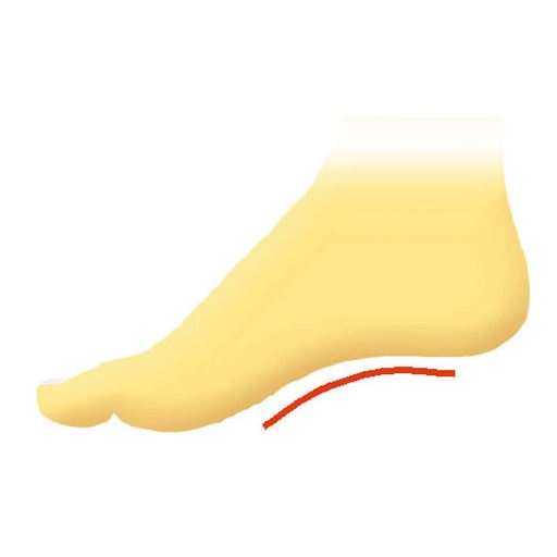 足裏全体で歩ける 足裏と靴の間にすき間ができにくく、足裏全体で体重を支えられる靴型設計。ローリング底で足運びもスムーズ。