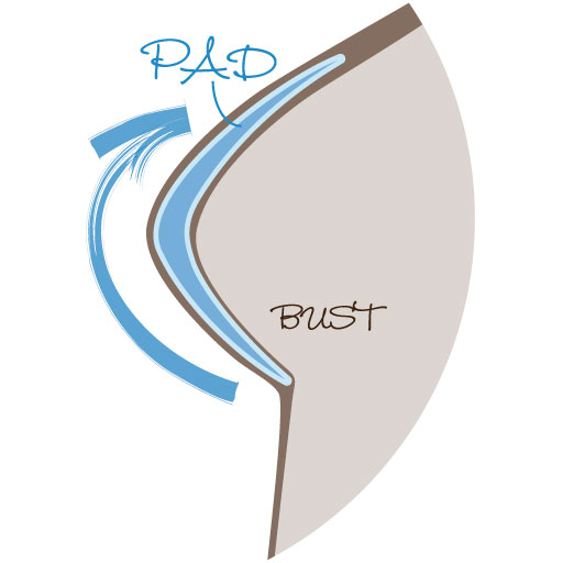 中央に向かって厚みをもたせ、高低差をつけたパッド。自然な丸みが美しい形に整えます。<br>※イメージ