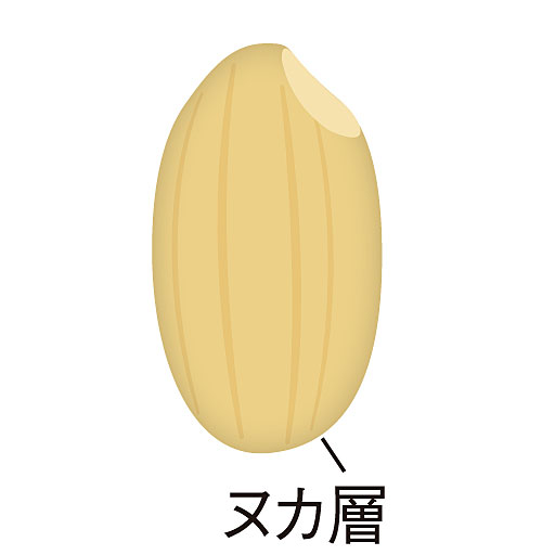 【玄米のヌカに多いLPS!】<br>成分にこだわり滋賀県産無農薬(※)の米ヌカを使用したヌカ層 パントエア菌LPS(保湿成分)を採用。<br>※栽培期間中、農薬不使用。<br>※イメージ