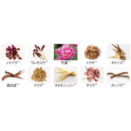 【ボリューム(※D)】<br>10種の和漢植物エキス(※1)を厳選配合。頭皮環境を整えて根元からボリューム感(※D)のある髪へと導きます。<br>※1 保湿成分<br>※D 髪にハリ・コシを与えてボリューム感をアップ