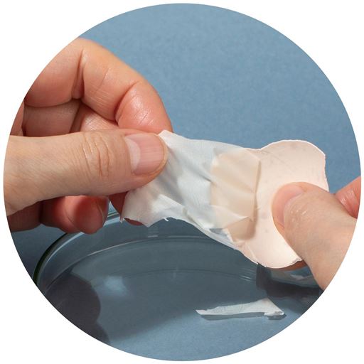 この薄い膜が卵殻膜<br>※イメージ