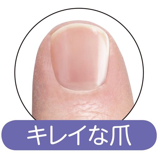 キレイな爪<br>※イメージ