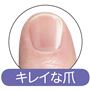 キレイな爪<br>※イメージ