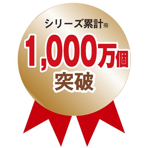 ※2013年3月～2024年9月までのメーカー国内販売実績