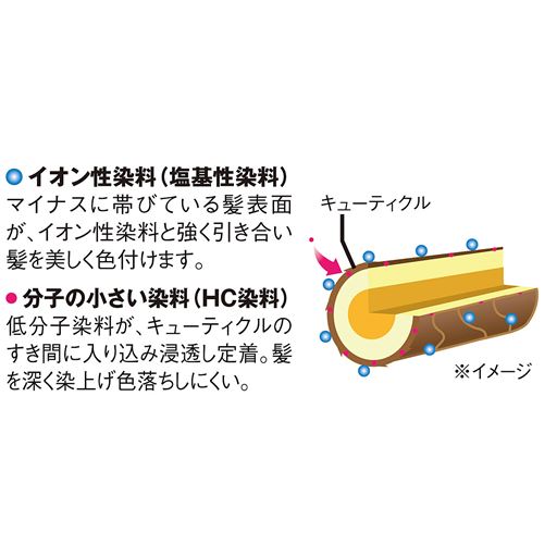 2種類の成分が髪の内側・外側へ浸透し自然な髪色へ染め上げます。