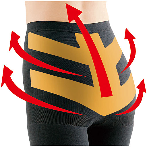 腰部のいかり型のテーピングラインが腰を支えて持ち上げます ※イメージ