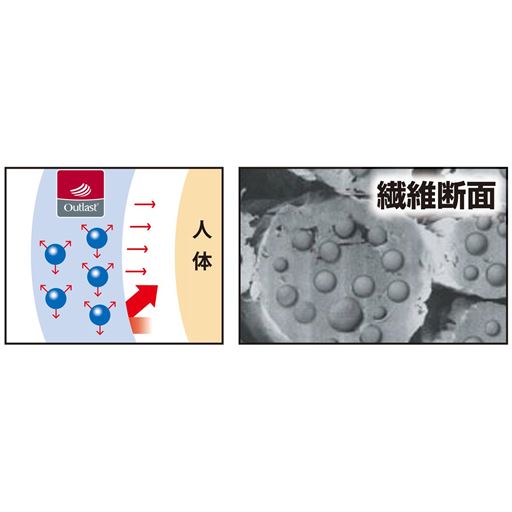 繊維の中に配合されたカプセル内のポリマーが暑いときは身体の熱を吸収し、寒いときはポリマーに蓄えた熱を放出しします※イメージ