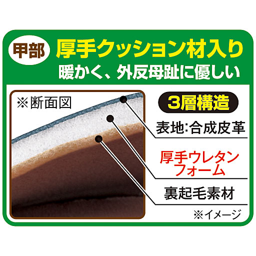 甲部 断面図<br>※イメージ